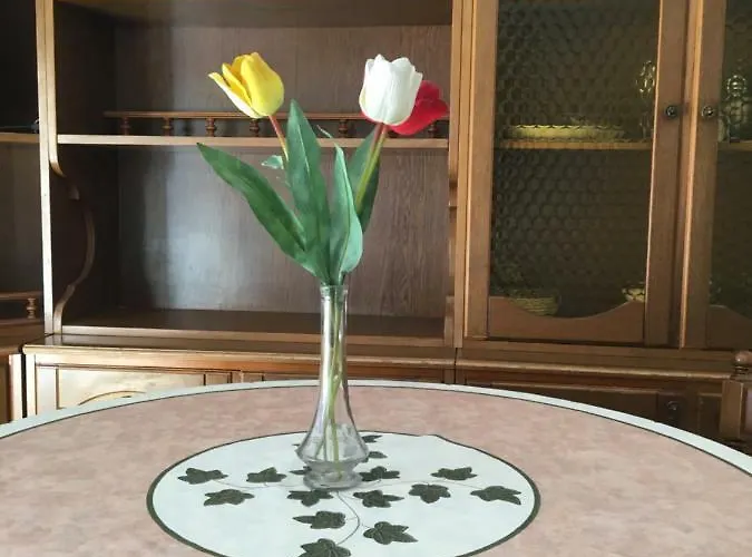 Jolie Maison * 산타마르게리타리구레